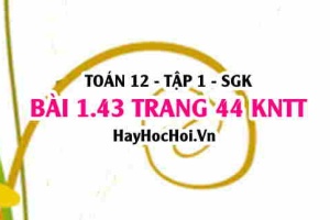 Bài 1.43 trang 44 Toán 12 tập 1 Kết nối tri thức